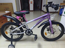 鳳凰兒童自行車(chē)兒童山地學(xué)生車(chē)小孩單車(chē)帶輔助輪3-6-10-12歲小中大童 烏梅紫丨單速輻條輪+雙碟剎+禮包 18寸（適合身高115-130cm） 曬單實(shí)拍圖