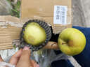 山東青蘋(píng)果新鮮水果當季現摘孕婦綠蘋(píng)果應季時(shí)令整箱脆甜酸甜 凈重5斤（65-70mm） 曬單實(shí)拍圖