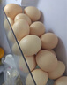 溫氏供港鮮雞蛋30枚/3斤 谷物喂養 早餐食材  生鮮雞蛋 京東自營(yíng) 曬單實(shí)拍圖