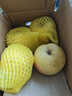 黃金奶油富士蘋(píng)果脆甜多汁山東煙臺棲霞奶油富士蘋(píng)果整箱批發(fā) 帶箱2斤奶油富士/中果75-80mm 曬單實(shí)拍圖