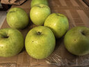 京鮮生 山東 青森 王林 蘋(píng)果凈重4.5斤單果170g+新鮮水果源頭直發(fā) 曬單實(shí)拍圖