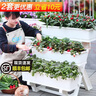 田間小徑陽(yáng)臺種菜盆多層立體種菜花架子家庭蔬菜種植專(zhuān)用箱長(cháng)方形花盆頂樓 【2套組合】三層種菜架 白色 曬單實(shí)拍圖