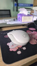 聯(lián)想（Lenovo）小新藍牙鼠標M1 商務(wù)辦公 輕音無(wú)線(xiàn)鼠標 適用小新拯救者 筆記本平板通用 霧白（僅藍牙連接） 曬單實(shí)拍圖