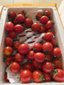 京喜加【全網(wǎng)熱銷(xiāo)】廣西正宗圣女果露天櫻桃小番茄即食水果小柿子新鮮 帶箱5斤 5斤 凈重4.7斤 曬單實(shí)拍圖