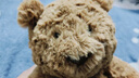 Jellycat巴塞羅熊動(dòng)物毛絨玩偶兒童安撫公仔小熊潮玩送禮生日禮物 巴塞羅熊 Medium 曬單實(shí)拍圖