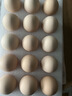 1號會(huì )員店（One's Member）可生食雞蛋30枚凈重3.6斤精選大碼蛋禮盒裝 源頭直發(fā) 曬單實(shí)拍圖