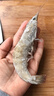 東上御品 國產(chǎn)青島大蝦 特大號白蝦 2030規格 凈重3斤 盒裝活凍 曬單實(shí)拍圖
