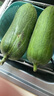 京鮮生 臺灣短棒肉絲瓜 3斤裝單果220g起 新鮮蔬菜 源頭直發(fā)包郵 曬單實(shí)拍圖