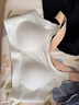 蕉內518Dry女士?jì)纫逻\動(dòng)無(wú)痕透氣高彈防震抗菌吸濕速干背心薄款文胸罩 曬單實(shí)拍圖