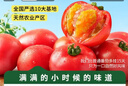 京鮮生&瓦大1號番茄沙瓤健康自然熟 減脂水果西紅柿 5斤單60g+源頭直發(fā) 曬單實(shí)拍圖