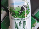 伊利【新鮮日期】金典純牛奶早餐奶整箱250ml*16盒 3.6g乳蛋白 禮盒裝 曬單實(shí)拍圖