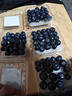 云南藍莓新鮮水果當季藍莓鮮果現摘孕高山婦大果整箱京東快遞 品質(zhì)中果【單果15mm+】 4盒小份裝【70g/盒】 曬單實(shí)拍圖