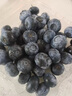 蒲戀京榜藍莓云南L25花香藍莓水果孕婦新鮮現摘高山應季熱帶時(shí)令鮮果 4盒【單果16mm+】125g/盒(凈100g)* 曬單實(shí)拍圖