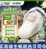 貝司令鮮活乳山生態(tài)生蠔3XL 凈重9斤 23-32只 生鮮源頭直發(fā)露營(yíng)聚會(huì ) 曬單實(shí)拍圖