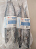 蓋世鲅魚(yú)冷凍一斤裝  2條 海鮮鲅魚(yú) 生鮮烹飪食材水產(chǎn) 曬單實(shí)拍圖