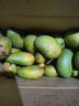 【東東農場(chǎng)專(zhuān)供】海南小臺農芒果新鮮當季特產(chǎn)水果現摘芒果 單果60g+（帶箱5斤） 曬單實(shí)拍圖
