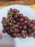 疆小提新疆特產(chǎn)吐魯番玻璃翠葡萄吐魯番新鮮水果無籽玻璃脆紅提禮盒送禮 吐魯番玻璃翠葡萄4斤禮盒裝 1箱 曬單實拍圖