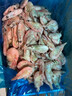美加佳熟凍北極甜蝦腹籽凈重3斤 90/130規格   熟凍甜蝦 海鮮水產(chǎn) 曬單實(shí)拍圖