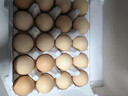 【無(wú)抗】七鮮 臻心柴雞蛋20枚1kg 曬單實(shí)拍圖