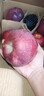 顧果鮮甘肅天水花牛蘋(píng)果當季新鮮蛇紅果寶寶老人輔食脆粉面刮泥蘋(píng)果禮盒 9斤裝凈重8.5斤 大果【單果80-85mm】 曬單實(shí)拍圖