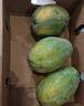 京鮮生 海南紅心木瓜4.5-5斤 單果500g+ 水果禮盒 源頭直發(fā) 曬單實(shí)拍圖
