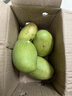 【品質(zhì)優(yōu)選】越南進(jìn)口大青芒金煌芒脆甜熟吃軟甜新鮮熱帶水果包郵 大果 3斤帶箱單果200g起(5-7個(gè)) 曬單實(shí)拍圖