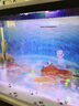貝初眾魚(yú)缸一體缸生態(tài)魚(yú)缸客廳桌面底濾魚(yú)缸免換水小金魚(yú)溪流缸水族箱 大號生態(tài)缸【豪華款】 【全景3D生態(tài)背景+含水泵+燈+制氧+過(guò)濾系統】 創(chuàng  )新設計/輕松養魚(yú) 曬單實(shí)拍圖