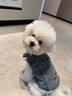 湯尼熊 TAWNEYBEAR狗狗衣服牛仔衣襯衫馬甲寵物雪納瑞馬爾濟斯約克夏春泰迪比熊柴犬 牛仔馬甲【刺繡小狗】 M丨背長(cháng)29胸圍44建議5-8斤 曬單實(shí)拍圖