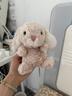 Jellycat米色甜美小兔小短腿公仔動(dòng)物毛絨玩偶娃娃送禮生日禮物 甜美小兔 One Size 曬單實(shí)拍圖