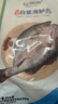 仙泉湖三去白蕉海鱸魚(yú)1斤/條凈膛刺少肉厚珠海特產(chǎn)500g海鮮水產(chǎn)生鮮食材 曬單實(shí)拍圖