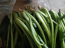 精品山東菠菜時(shí)令蔬菜農家自種現摘現發(fā)新鮮蔬菜生鮮蔬菜火鍋食材 帶箱2斤（凈重1.6斤） 曬單實(shí)拍圖