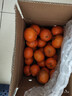 廣西武鳴沃柑新鮮當季水果大果桔子皇帝蜜橘砂糖柑橘整箱京東物流 帶箱9斤大果【新鮮采摘產(chǎn)地直發(fā)】 曬單實(shí)拍圖