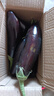 山東新鮮綠把紫皮長(cháng)茄現摘現發(fā)新鮮嫩茄新鮮時(shí)令蔬菜生鮮 新鮮綠把紫茄 2斤 帶箱 曬單實(shí)拍圖