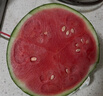 藤上熟吊秧小西瓜1粒1.5kg 曬單實(shí)拍圖