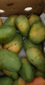 海南小臺芒產(chǎn)地直發(fā) 3-7個(gè)/斤新鮮水果冬季好果芒果（生果）-全站 凈重4斤 60g+ 曬單實(shí)拍圖