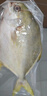 翔泰冷凍海南金鯧魚(yú)700g（2條） 曬單實(shí)拍圖
