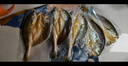 東方甄選黃魚(yú)鲞福建寧德三去大黃魚(yú)半成品冷凍魚(yú)生鮮海鮮黃魚(yú)黃花魚(yú) 【到手5條】黃魚(yú)鲞 1.3kg *1袋 曬單實(shí)拍圖