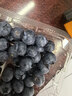 京鮮生&悅美添 花香藍莓18mm+ 4盒裝 約125g/盒 專(zhuān)利品種源頭直發(fā) 曬單實(shí)拍圖