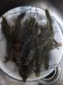 鮮活大海白蝦300g（約12-18只） 曬單實(shí)拍圖