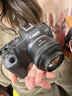 佳能（Canon）佳能R8 全畫(huà)幅微單數碼相機 4K視頻高清直播 RF501.8小痰盂人像鏡頭 旅行家用照相機 掃街旅拍套裝 曬單實(shí)拍圖