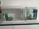 森森（SUNSUN）超白魚(yú)缸一體缸自循環(huán)客廳桌面小型家用水族箱HEJ-380 曬單實(shí)拍圖