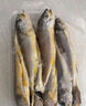 1號會(huì )員店（One's Member）舟山海捕三去小黃魚(yú)(16-20條) 800g 黃花魚(yú) 深海魚(yú)生鮮魚(yú)類(lèi) 海鮮 曬單實(shí)拍圖