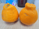 京地達四川春見(jiàn)耙耙柑凈重8斤特大果15-18粒柑橘桔子水果源頭直發(fā) 曬單實(shí)拍圖