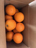 京覓重慶奉節倫晚臍橙/橙子 凈重8斤 單果150g +生鮮水果 源頭直發(fā) 曬單實(shí)拍圖