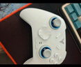飛智冰原狼4多模版無(wú)線(xiàn)游戲手柄 類(lèi)xbox 力調節搖桿雙切扳機 switch電腦PC手機steam體感NS 仁王3 曬單實(shí)拍圖