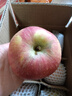 同甘園 正宗天然冰糖心蘋(píng)果富士 脆甜新鮮山西時(shí)令應季丑蘋(píng)果 節日送禮 凈4.5斤單果130-150g精選好果 曬單實(shí)拍圖