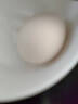 【無(wú)抗】葉黃素富硒可生食雞蛋 15枚 750g 曬單實(shí)拍圖