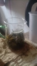 耐高溫公道杯簡(jiǎn)易泡茶杯大容量煮茶公杯家用可過(guò)濾茶海茶水分離器 綠把直身月牙 450ml 1只 曬單實(shí)拍圖