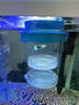 宜品達懸浮式孔雀魚(yú)繁殖盒魚(yú)缸隔離盒魚(yú)苗母魚(yú)斗魚(yú)熱帶魚(yú)孵化產(chǎn)房孵化器 藍色【小號套裝】 【漂浮式繁殖隔離盒-高清透亮】 曬單實(shí)拍圖