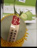 京鮮生脆甜哈密瓜 凈重4-5斤  1-2粒裝 單果2斤起 源頭直發(fā)包郵 曬單實(shí)拍圖